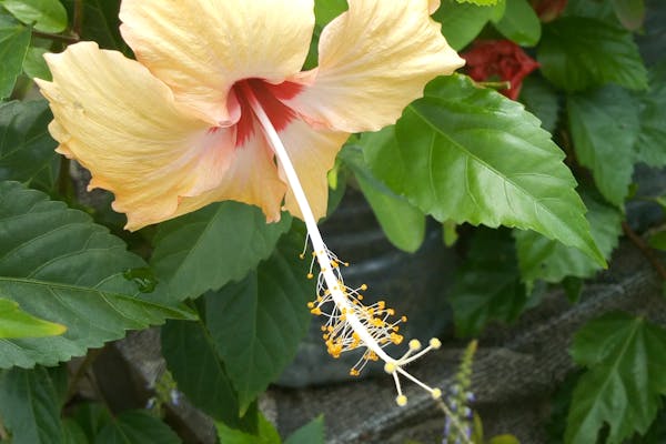 Marketing digital para peluquerías: guía práctica 2026