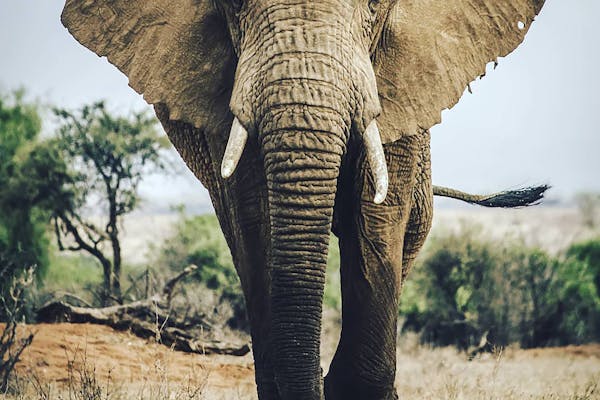 Software de citas para psicólogos: guía completa 2026